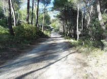 RUTA 03 Xirles - Gines - Embalse de Guadalest